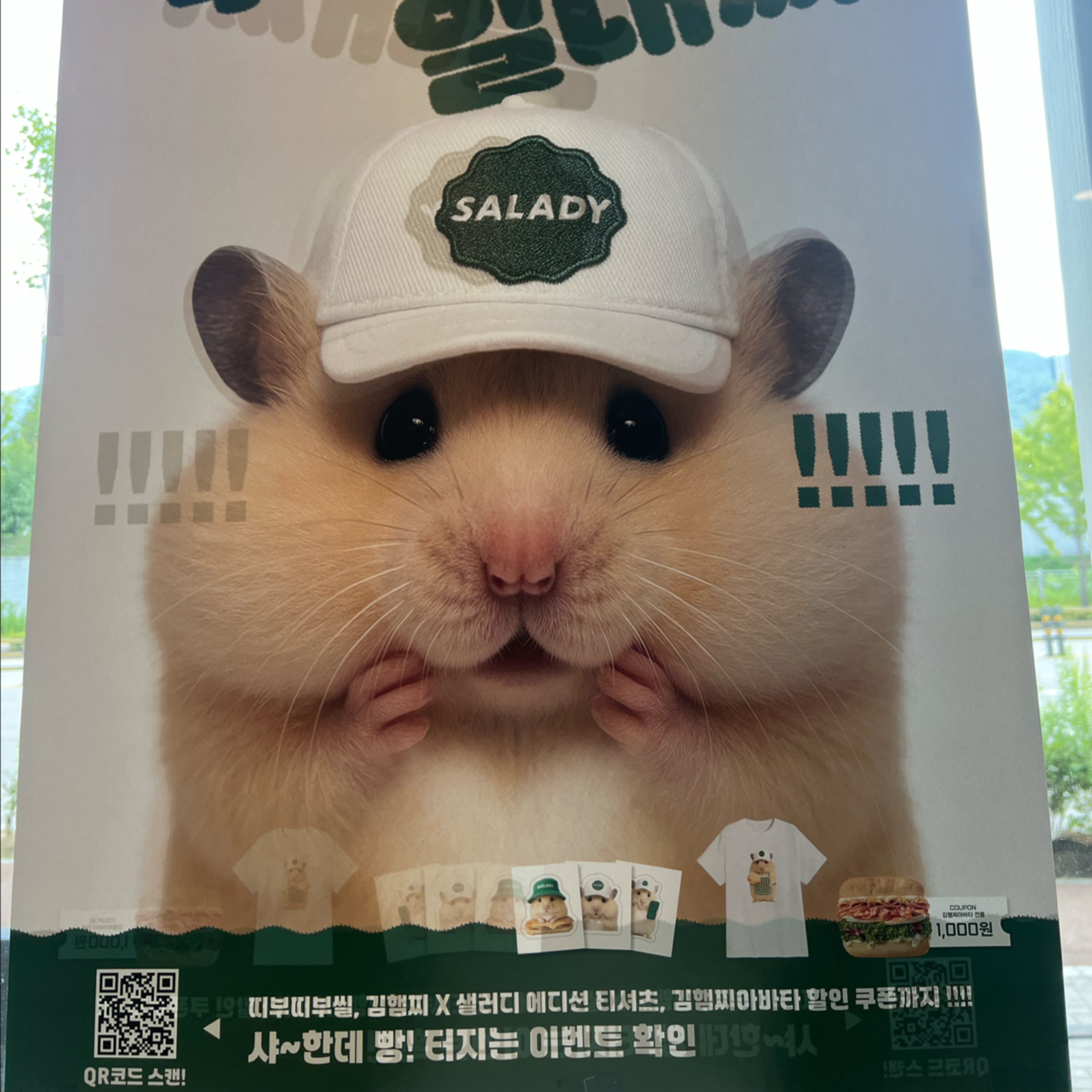 도미노피자 속초점 5