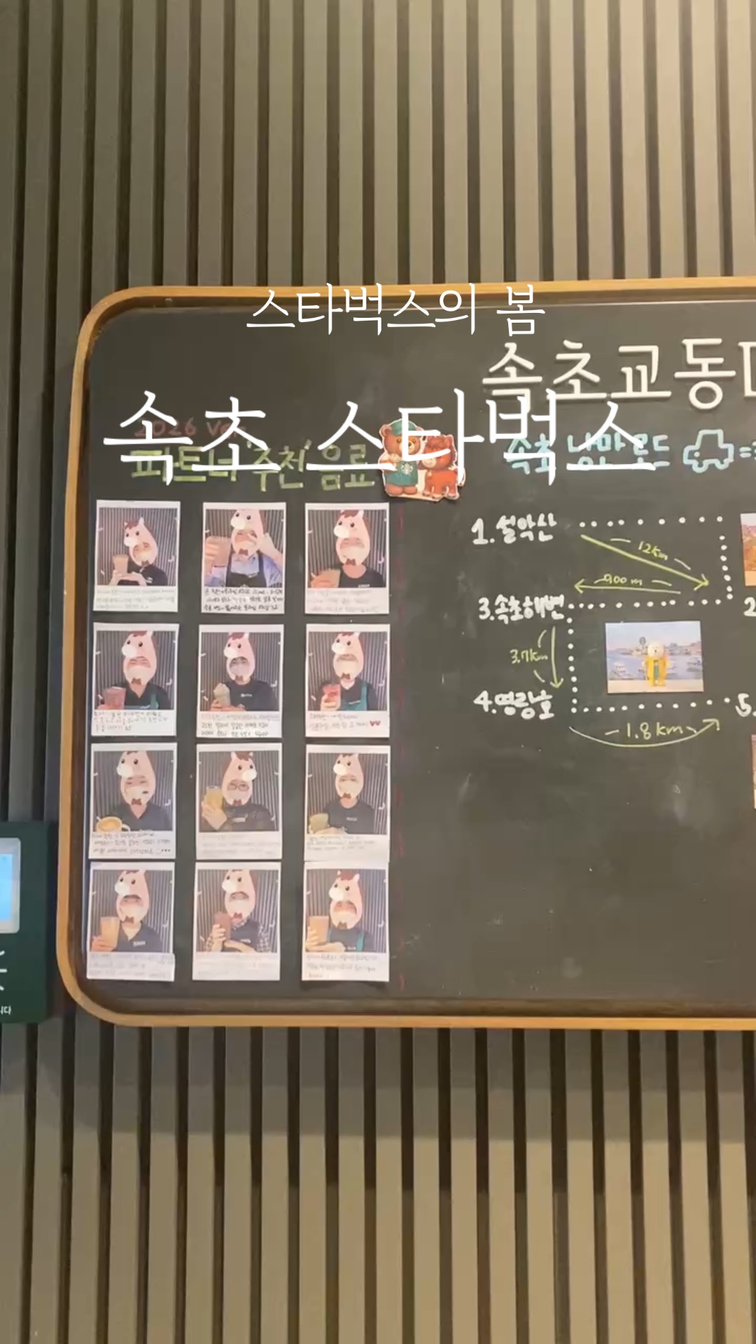 스타벅스 속초교동DT점 (Starbucks Sokcho Gyodong DT) 3