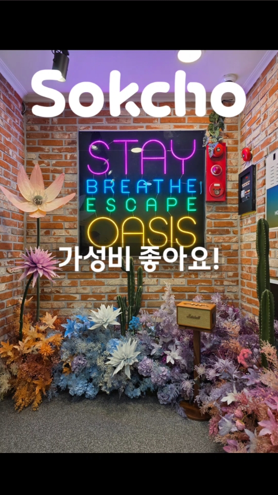 호텔 오아시스 3