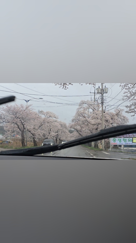 도문연가 3