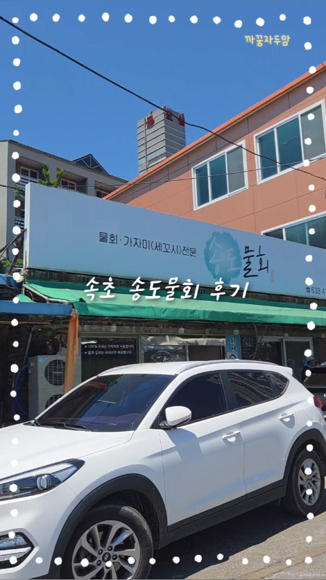 송도물회 4