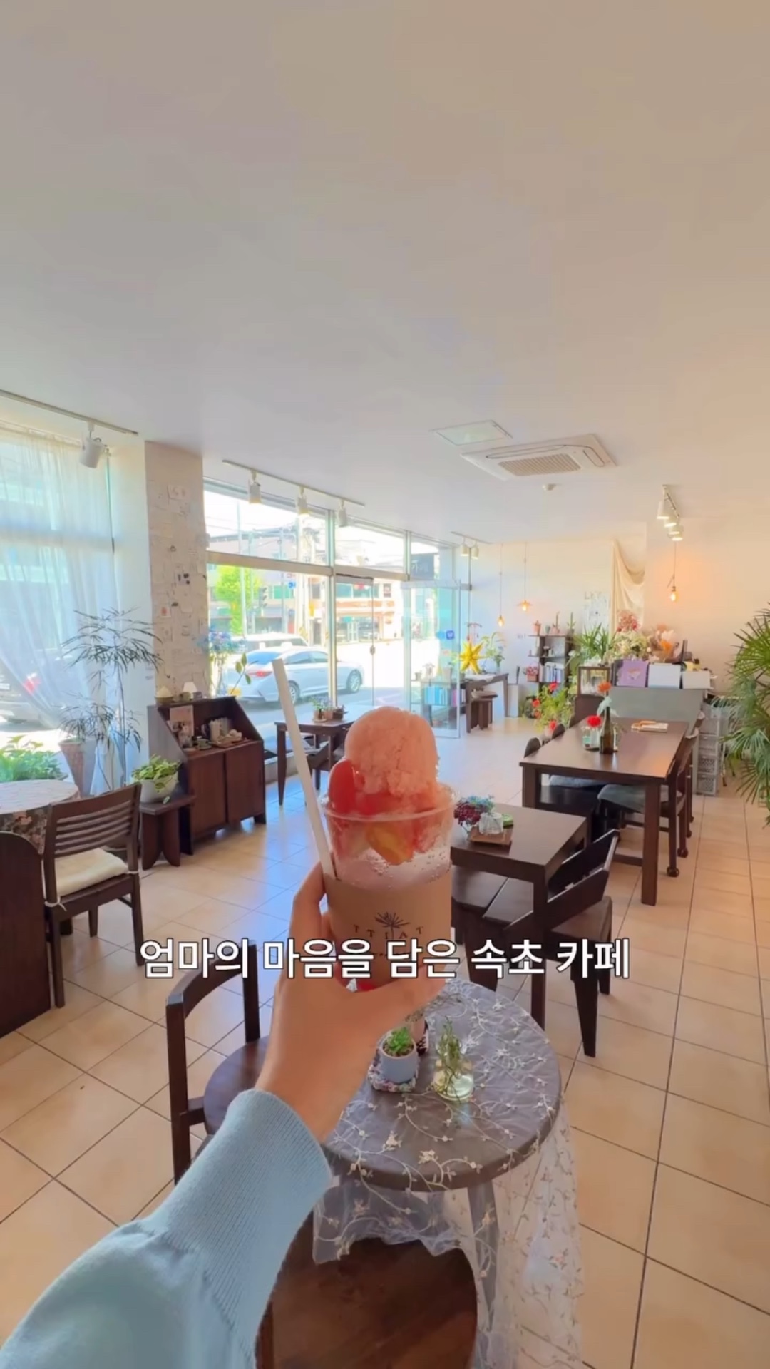 띠앗 3