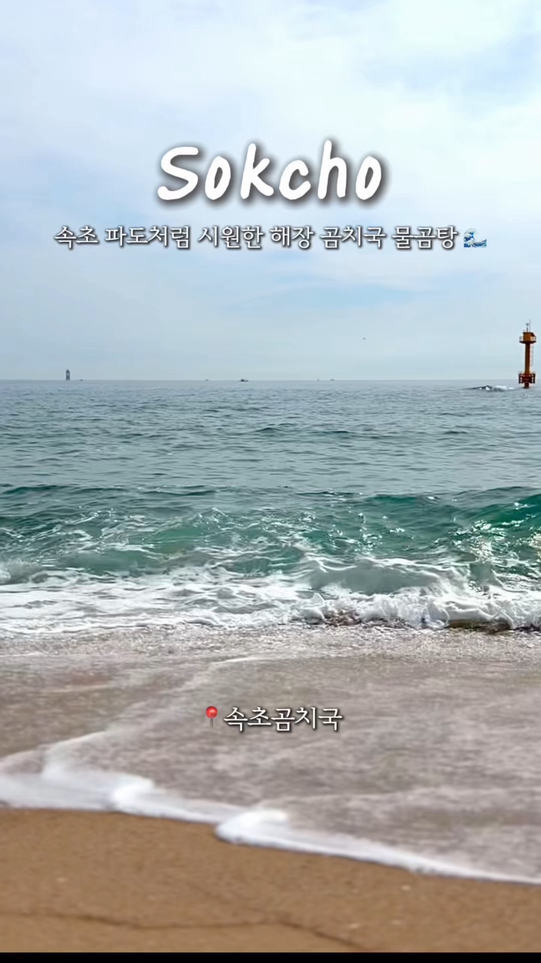 속초곰치국 4