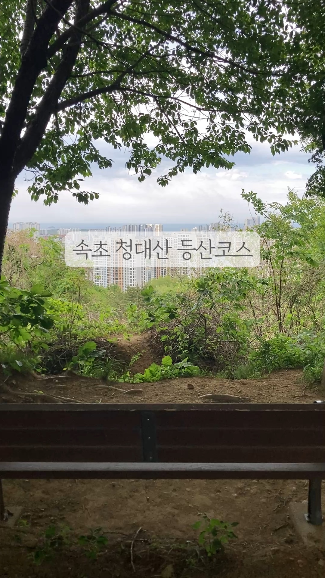 청대산 (Cheongdaesan) 3