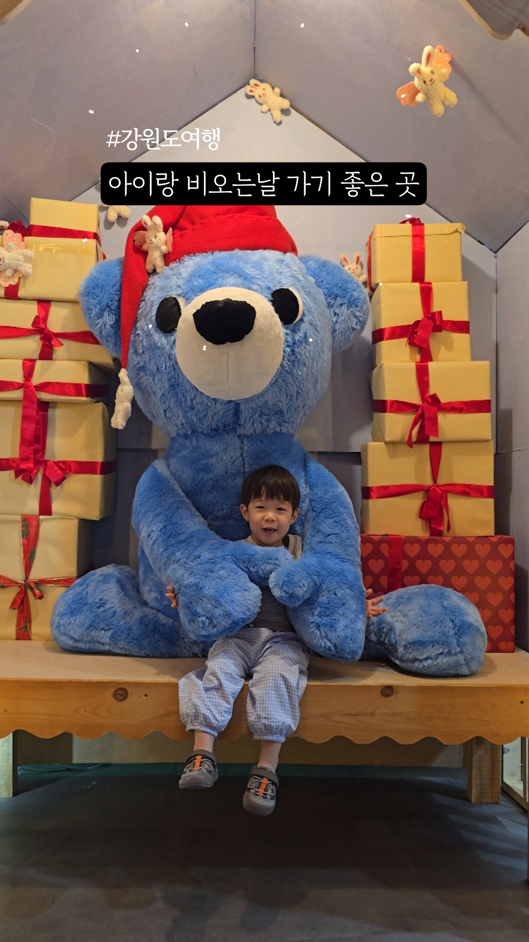 테디베어팜 (Teddy Bear Farm) 3
