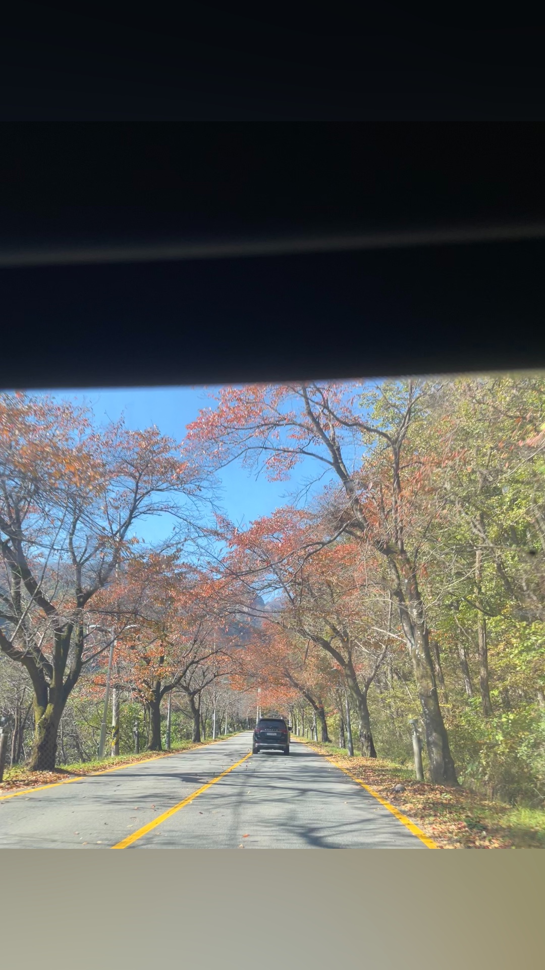 설악산과동해바다그리고온천 3