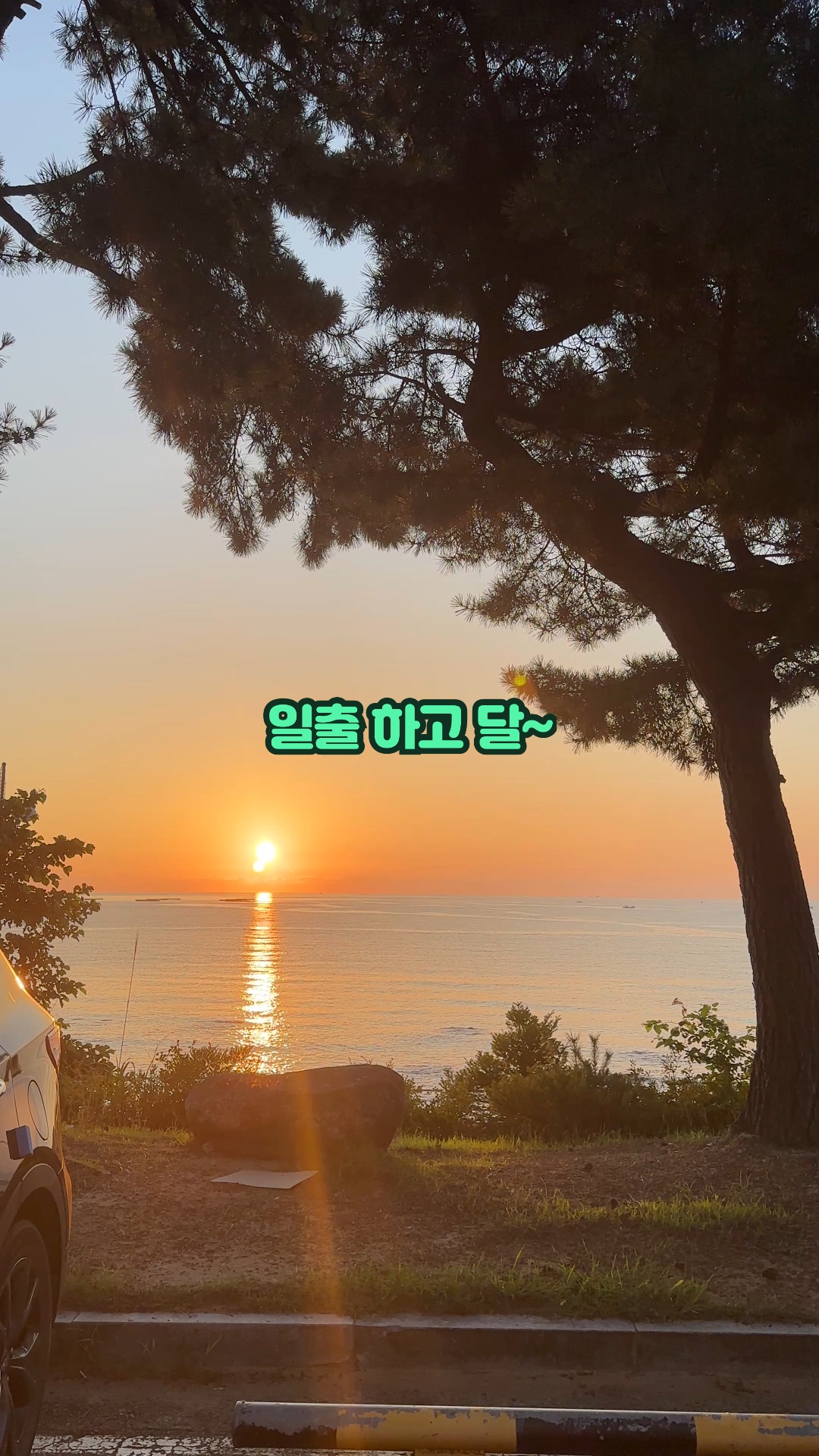 베니키아호텔 산과바다속초 3