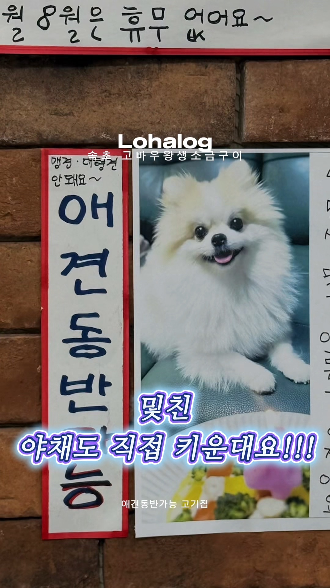 고바우왕소금생구이 2