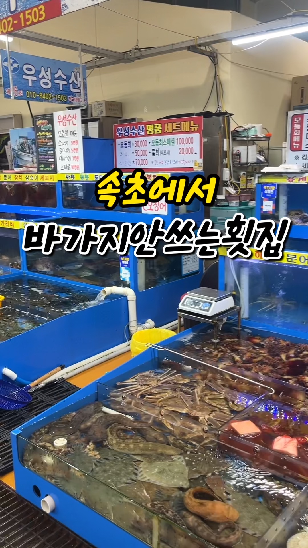 청호활어회센터 3