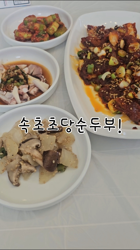 속초초당순두부 2