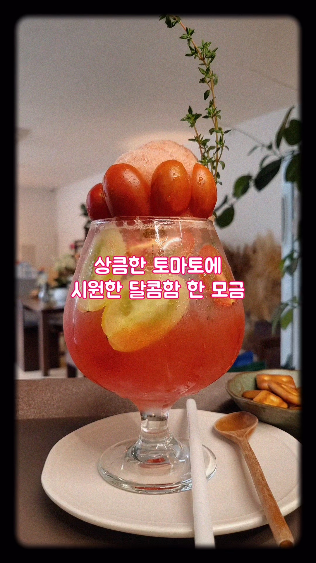 띠앗 3