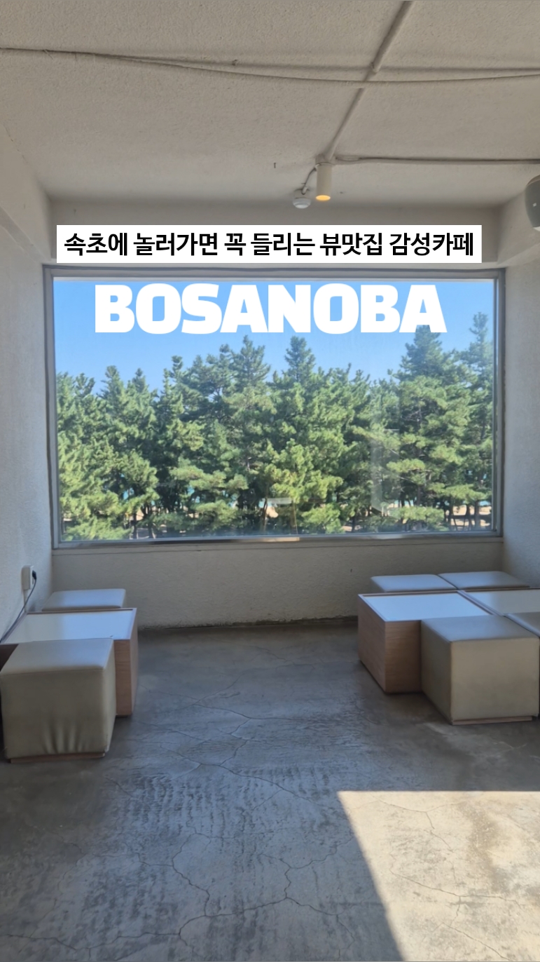 보사노바커피로스터스 속초점 3
