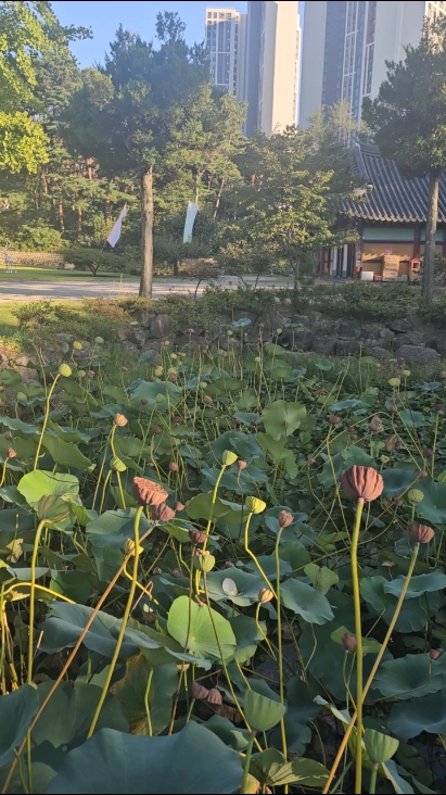 보광사(속초) 2