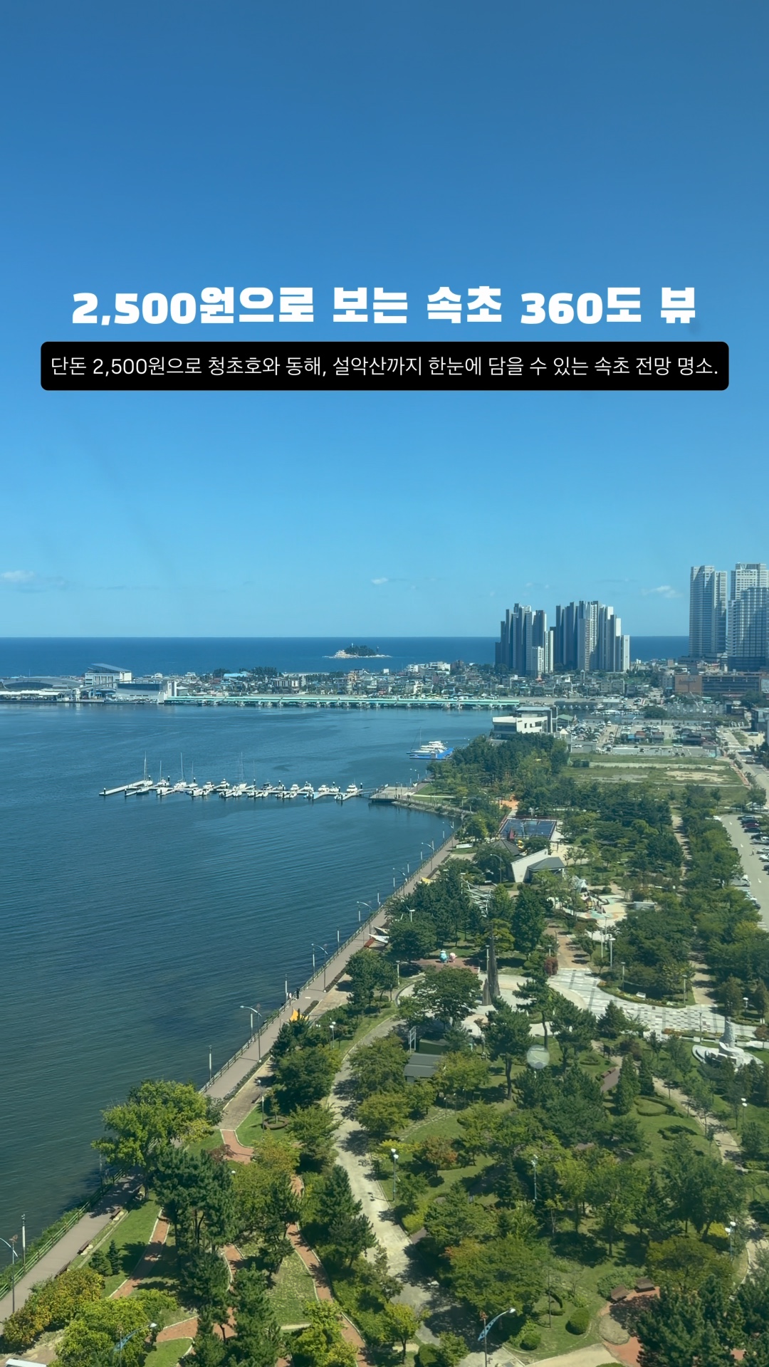 피노디아 엑스포타워 3
