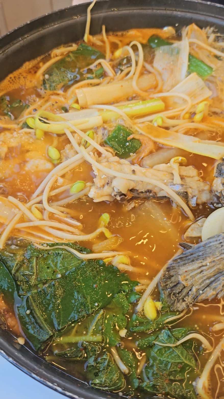 대포항 (Daepohang) 3