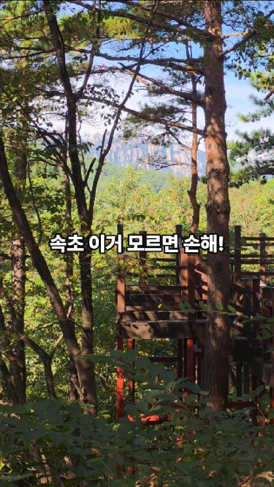 설악산 자생식물원 (Seoraksan Jasaeng Sikmurwon) 2