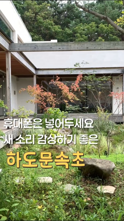 하도문 속초 (Hadomun Sokcho) 2