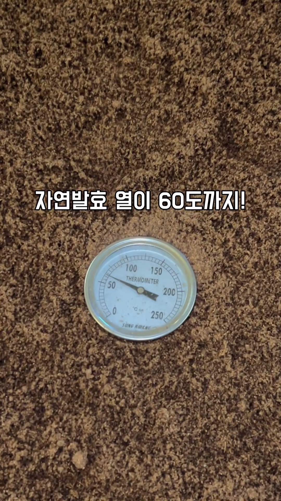 Hyoso Forest Main Branch · video