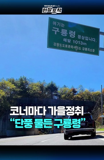 코너마다 가을…단풍 물든 구룡령 풍경