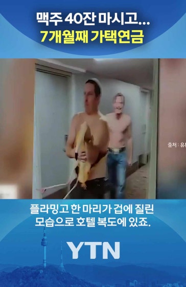 뭐야 플라밍고 돌려줘요