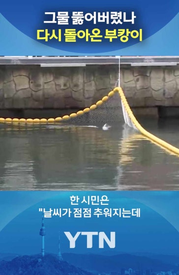 대체 왜 안 떠나는거야
