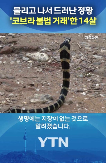 중학생이 집에서 코브라를?