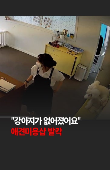 💥"강아지가 없어졌어요"… 애견미용실 발칵 뒤집힌 사연 🐶🧸
		
		애견미용실에서 사라진 강아지를 찾아 헤매는 미용사분의 과거 영상이 최근 다시 온라인에서 화제를 모으고 있습니다. 🚨
		
		#강아지 #애견스타그램 #애견미용 #인형 #귀여움 #경제 #한국경제신문