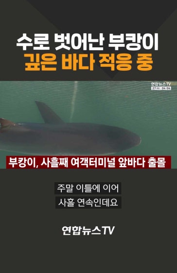 수로 벗어난 부캉이…깊은 바다 적응 중