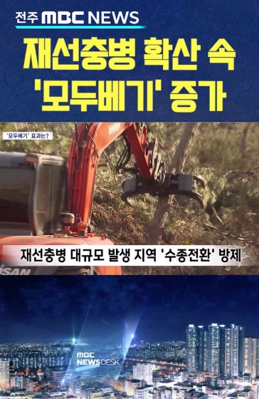 재선충병 확산 속 ‘모두베기’ 증가... “신중해야”
		 #소나무재선충병 #확산세심각 #수종전환