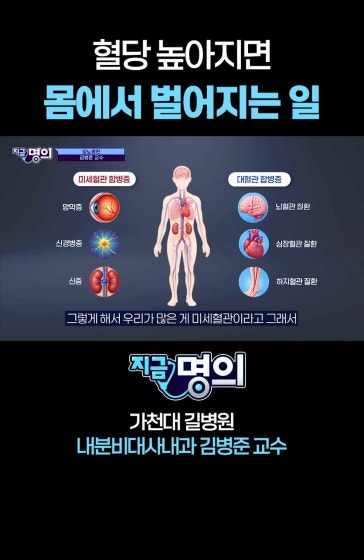 혈당 높아지면 몸에서 벌어지는 일 [가천대 길병원 내분비대사내과 김병준 교수] #당뇨 #혈당 #혈당스파이크 #공복혈당 #식후혈당