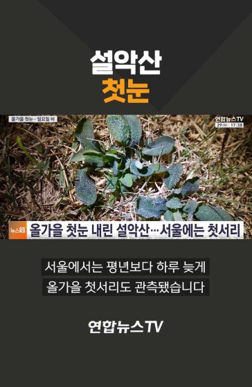 설악산 첫눈
			#설악산 #첫눈 #날씨